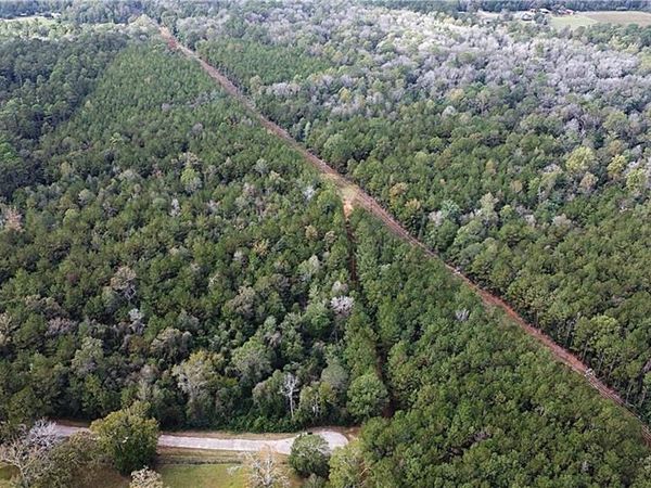 49 Acres HOLLIDAY Road , Folsom, LA 70437