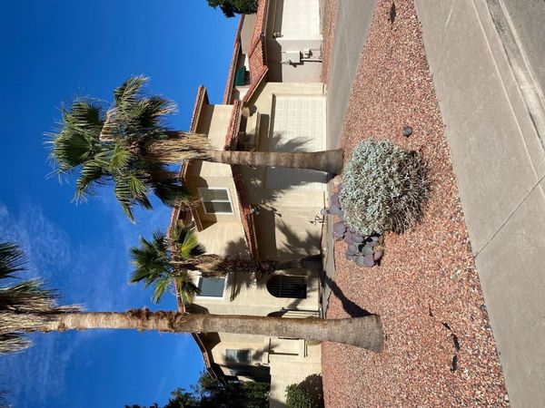 9828 S 44th Street, Phoenix, AZ 85044