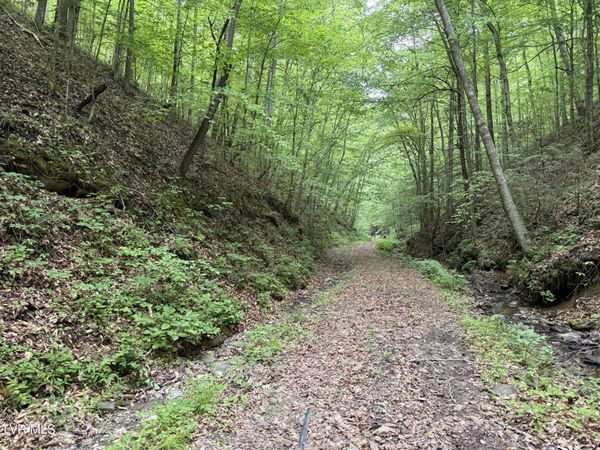Tbd North Highway 66, Rogersville, TN 37857