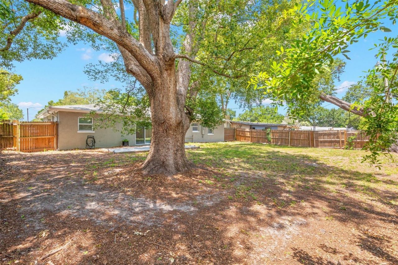 611 Pinewood Drive , Dunedin, FL 34698 Photo