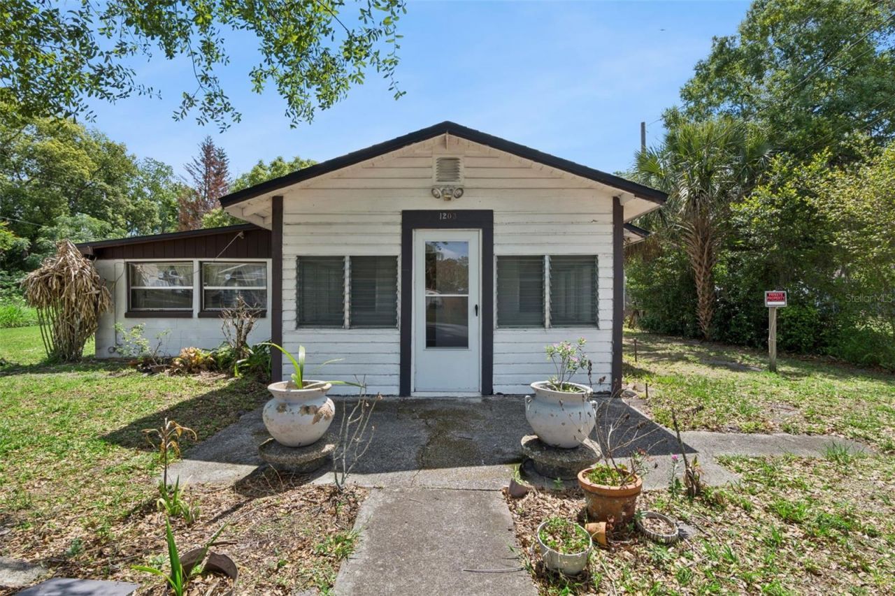 1203 Sasoon Avenue, Orlando, FL 32803 Photo