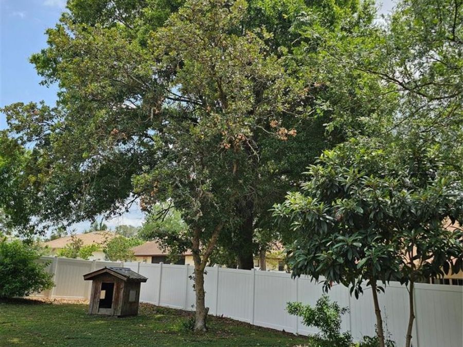 Property Image 54