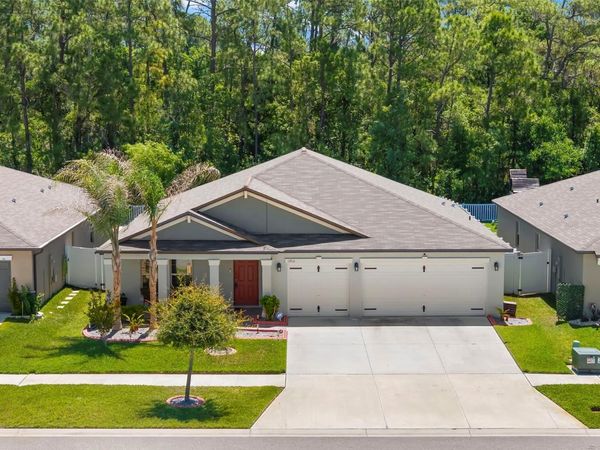 13511 WILLOW BLUESTAR LOOP , RIVERVIEW, FL 33579