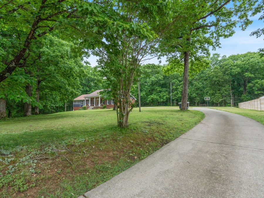 Property Image 63