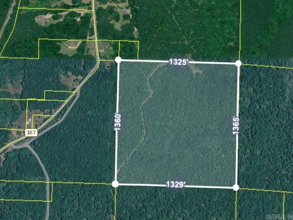 40 acres near Ouachita 387 , Camden, AR 71701