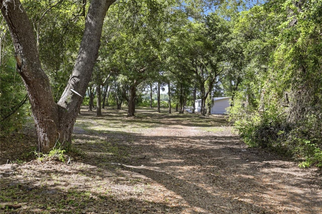7651 NW 153rd Lane , Chiefland, FL 32626 Photo