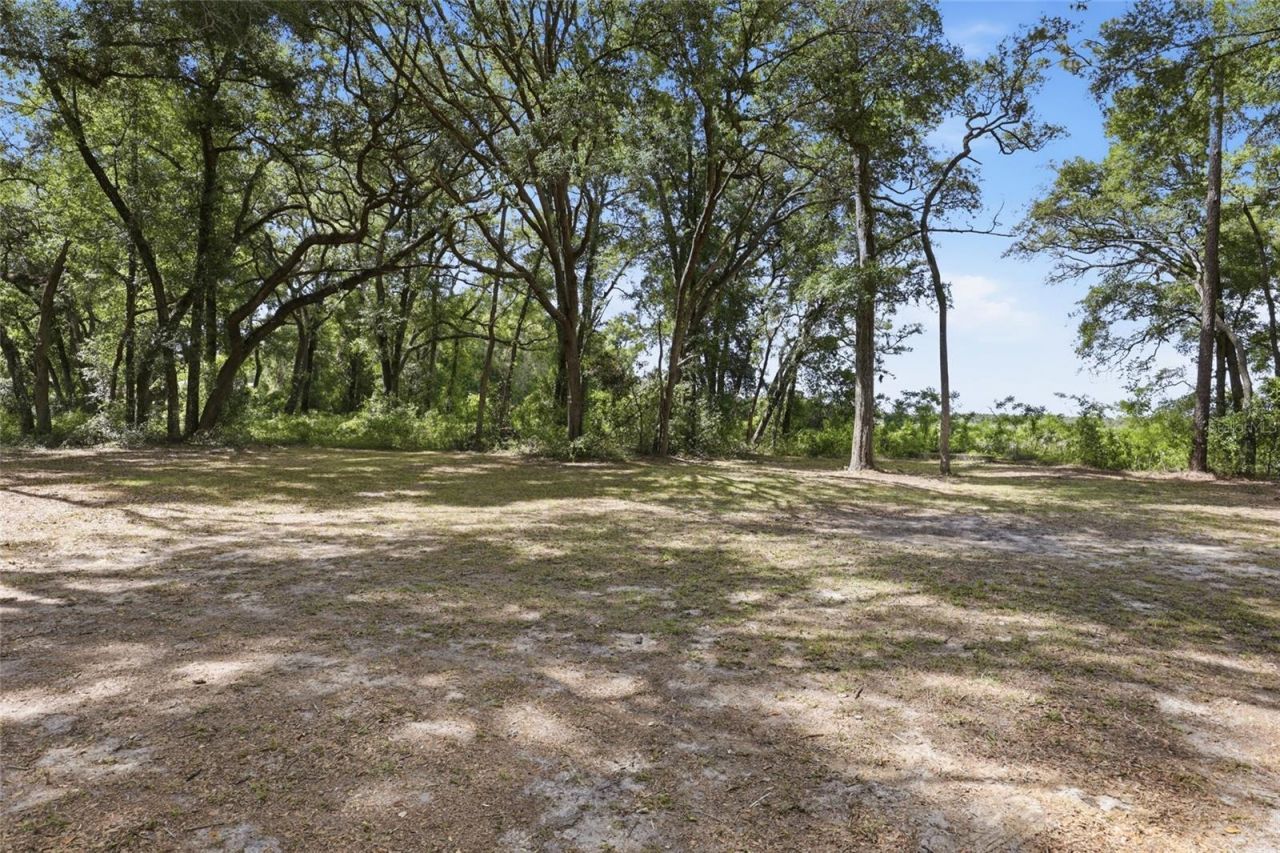 7651 NW 153rd Lane , Chiefland, FL 32626 Photo