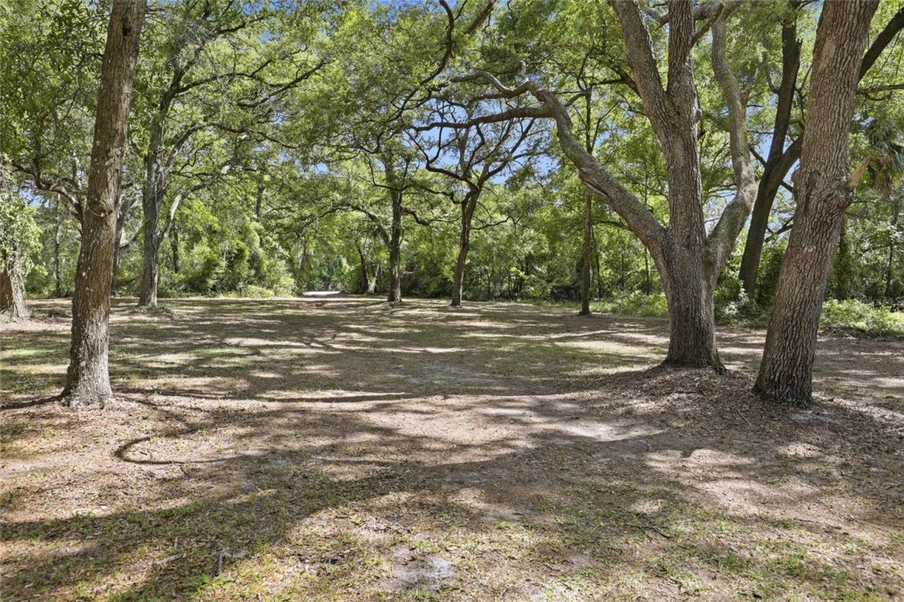 7651 NW 153rd Lane , Chiefland, FL 32626 Photo