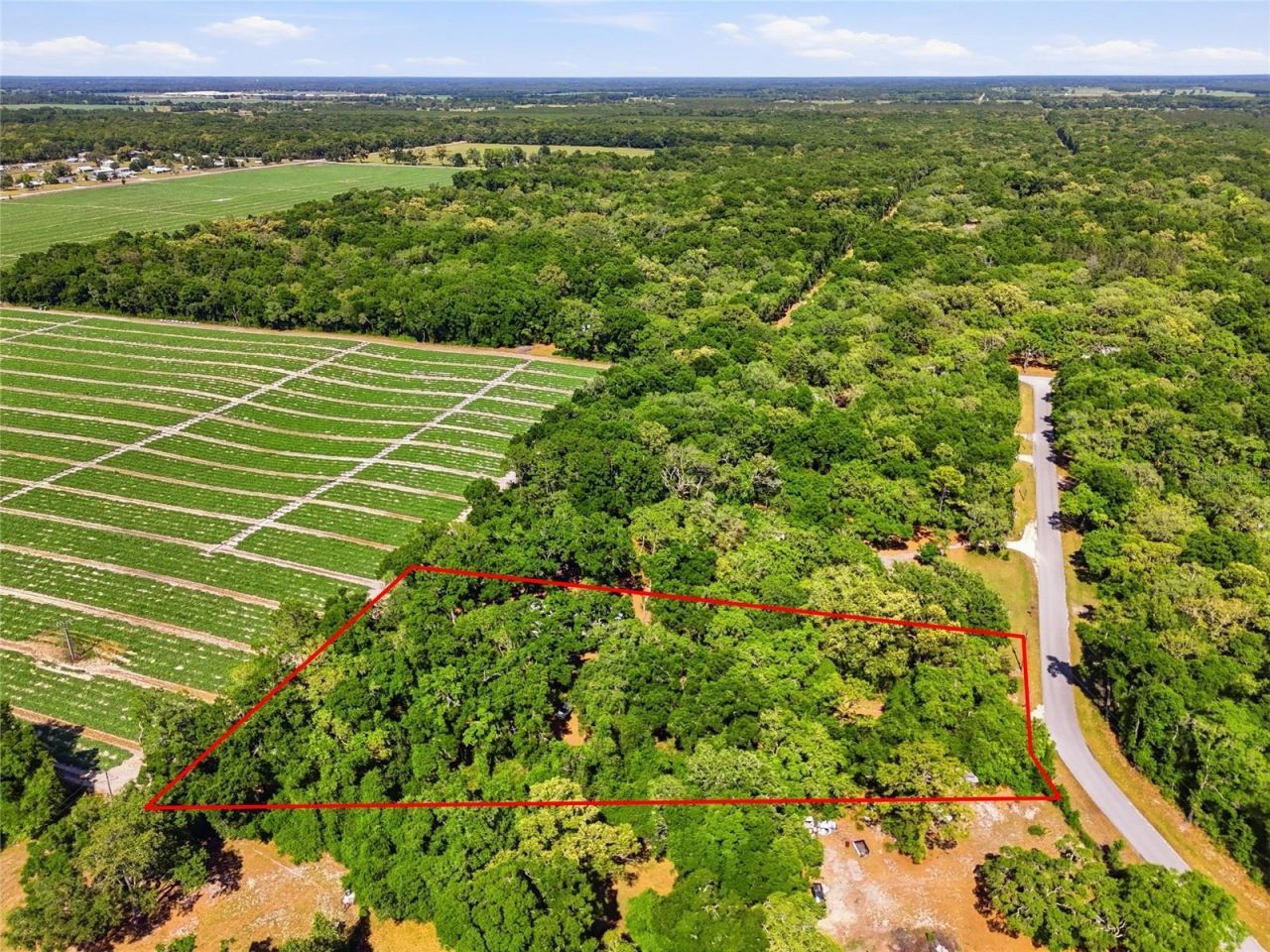 7651 NW 153rd Lane , Chiefland, FL 32626 Photo