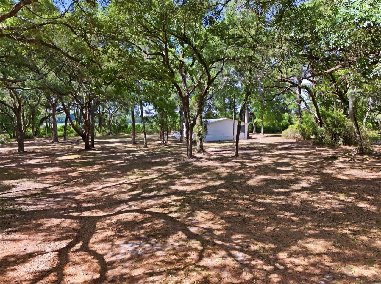 7651 NW 153rd Lane , Chiefland, FL 32626 Photo