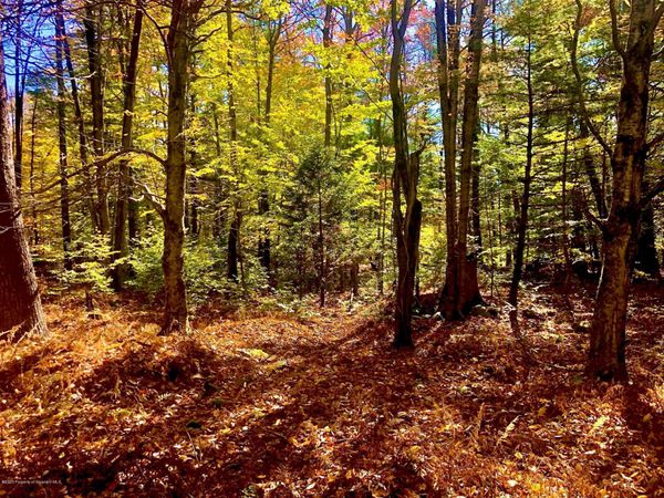 36 Kimberly Circle , Thornhurst, PA 18424