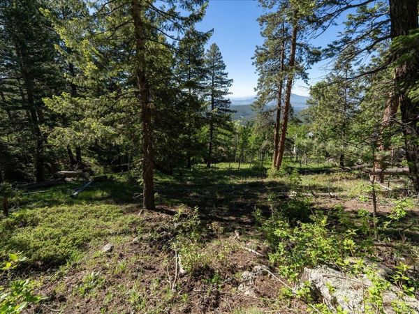 11698 Nichols Way, Conifer, CO 80433