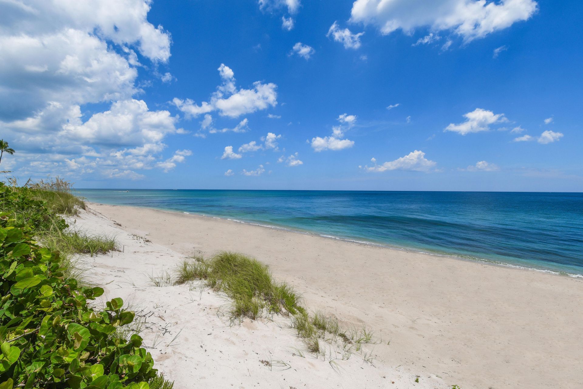 200 Intracoastal Place, Unit 404, Jupiter, FL 33469 Photo