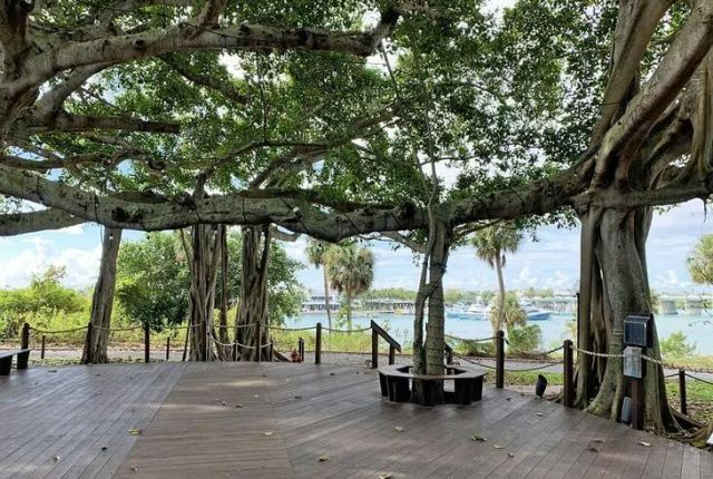 200 Intracoastal Place, Unit 404, Jupiter, FL 33469 Photo