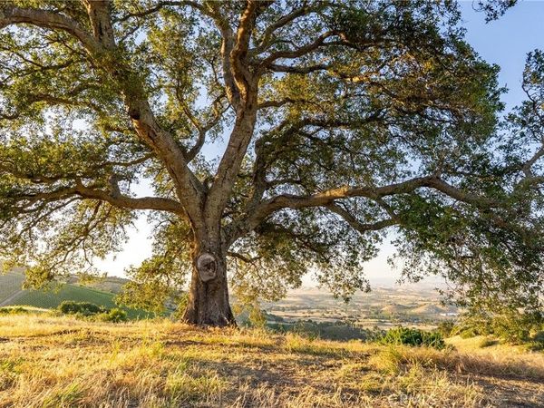 2762 Adelaida Road, Paso Robles, CA 93446