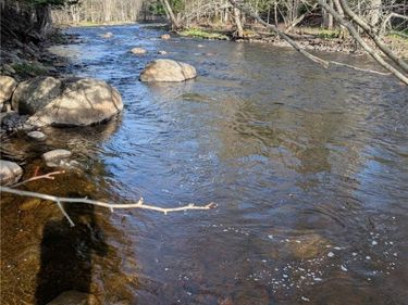 Voorhees Road, Dolgeville, NY 13329