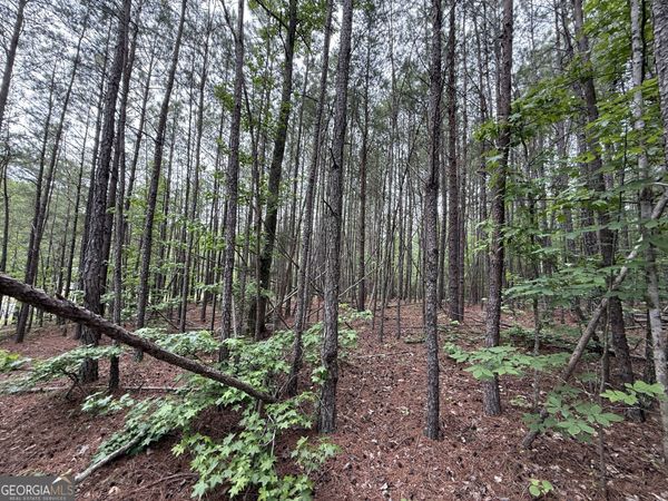 0 Natures Walk Drive, Rome, GA 30165