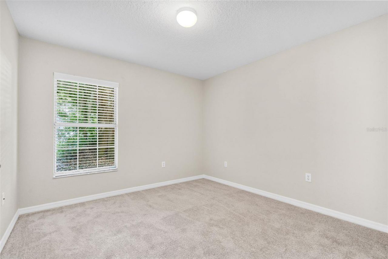 4631 Eagle Ranch Drive, Zephyrhills, FL 33542 Photo