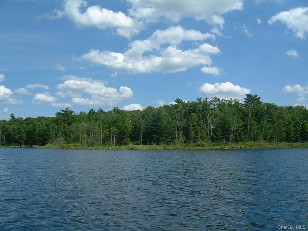 Browning Boulevard, Barryville, NY 12719