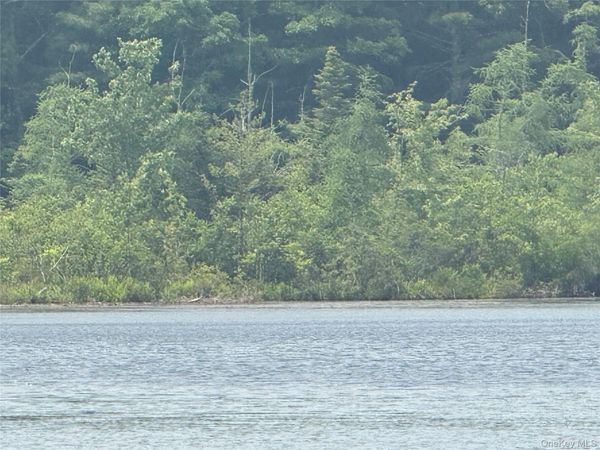 Browning Boulevard, Barryville, NY 12719