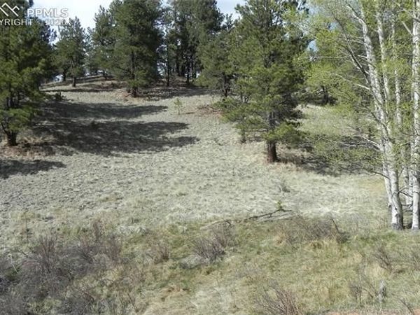 1699 Monarch Drive, Cripple Creek, CO 80813