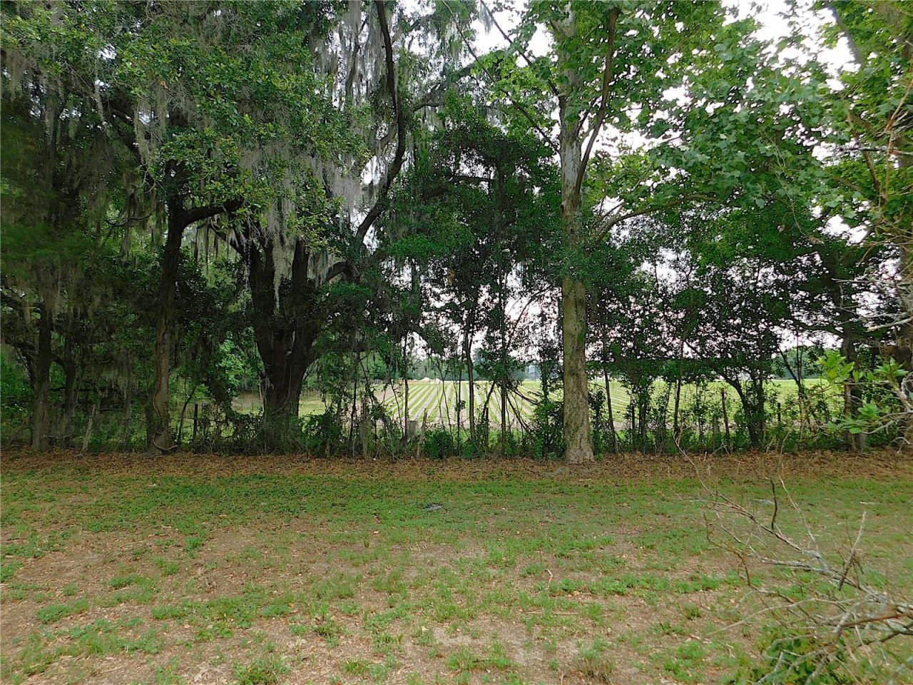 6875 NE 25th Avenue, Ocala, FL 34479 Photo