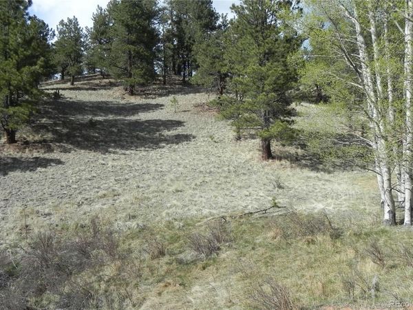 1699 Monarch Drive , Cripple Creek, CO 80813