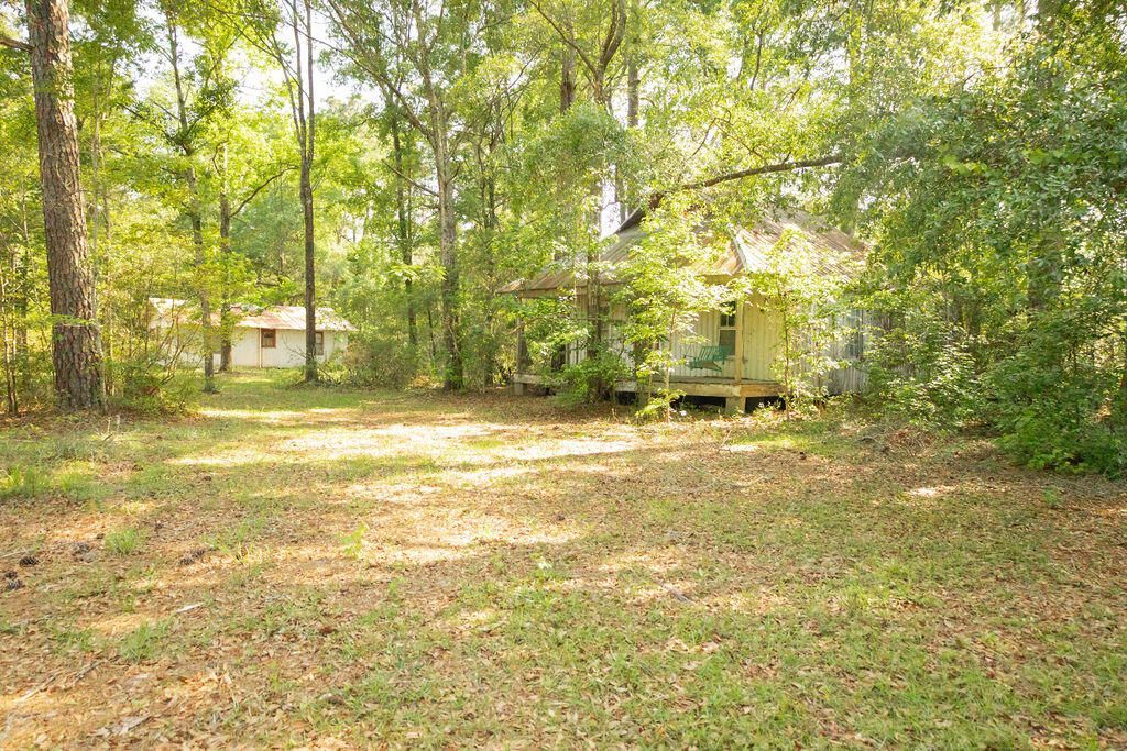 131 Clyde Circle Photo 8