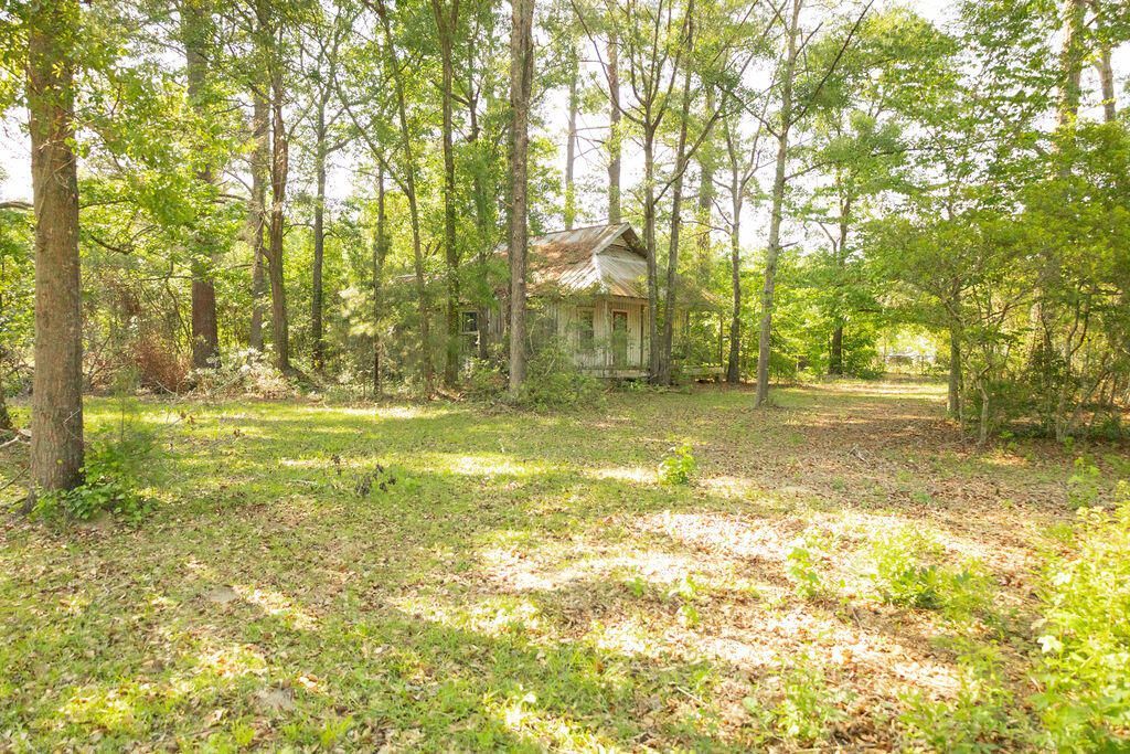 131 Clyde Circle Photo 9