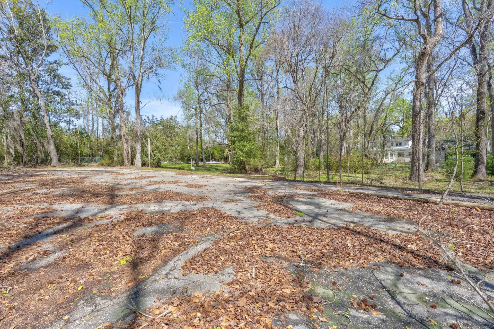 841 Googe Street Photo 42