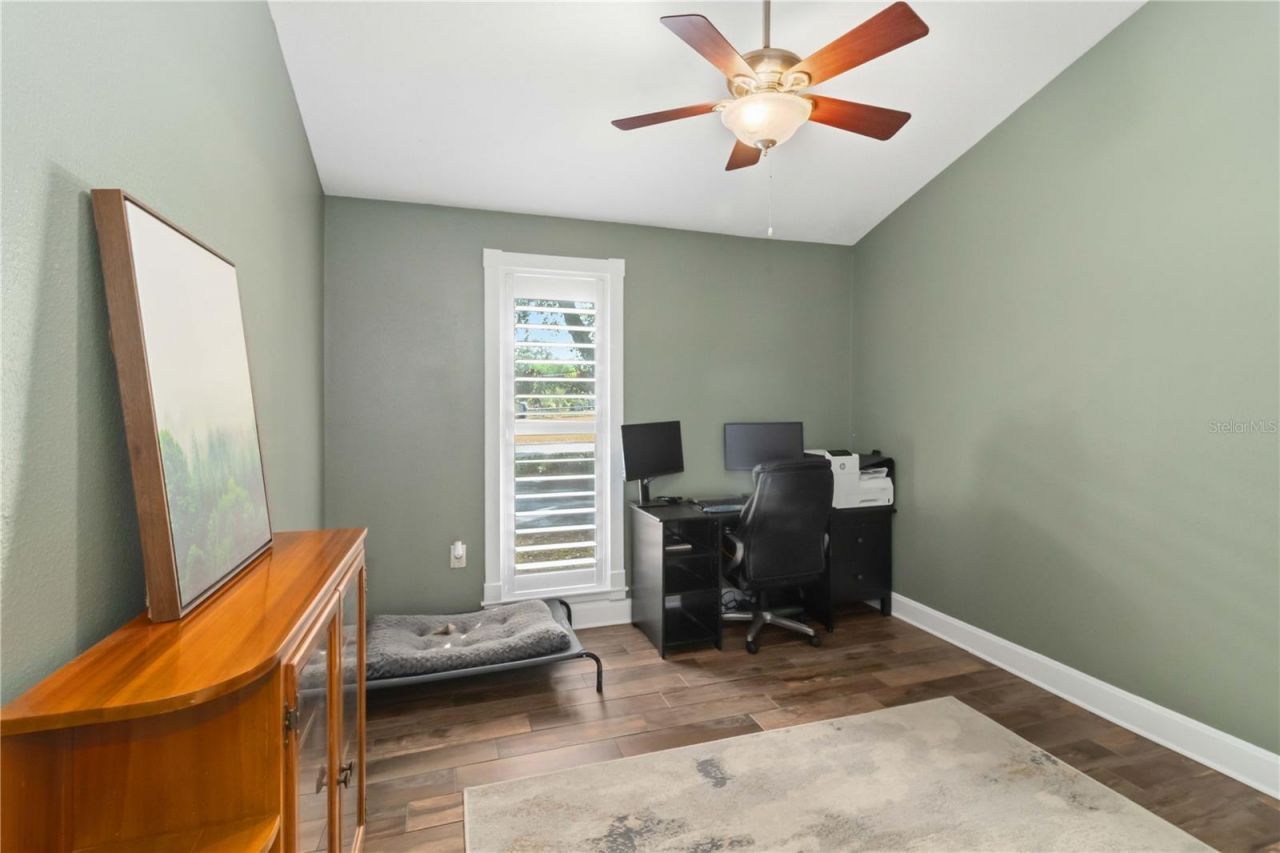 28424 Deedra Drive, Wesley Chapel, FL 33544 Photo