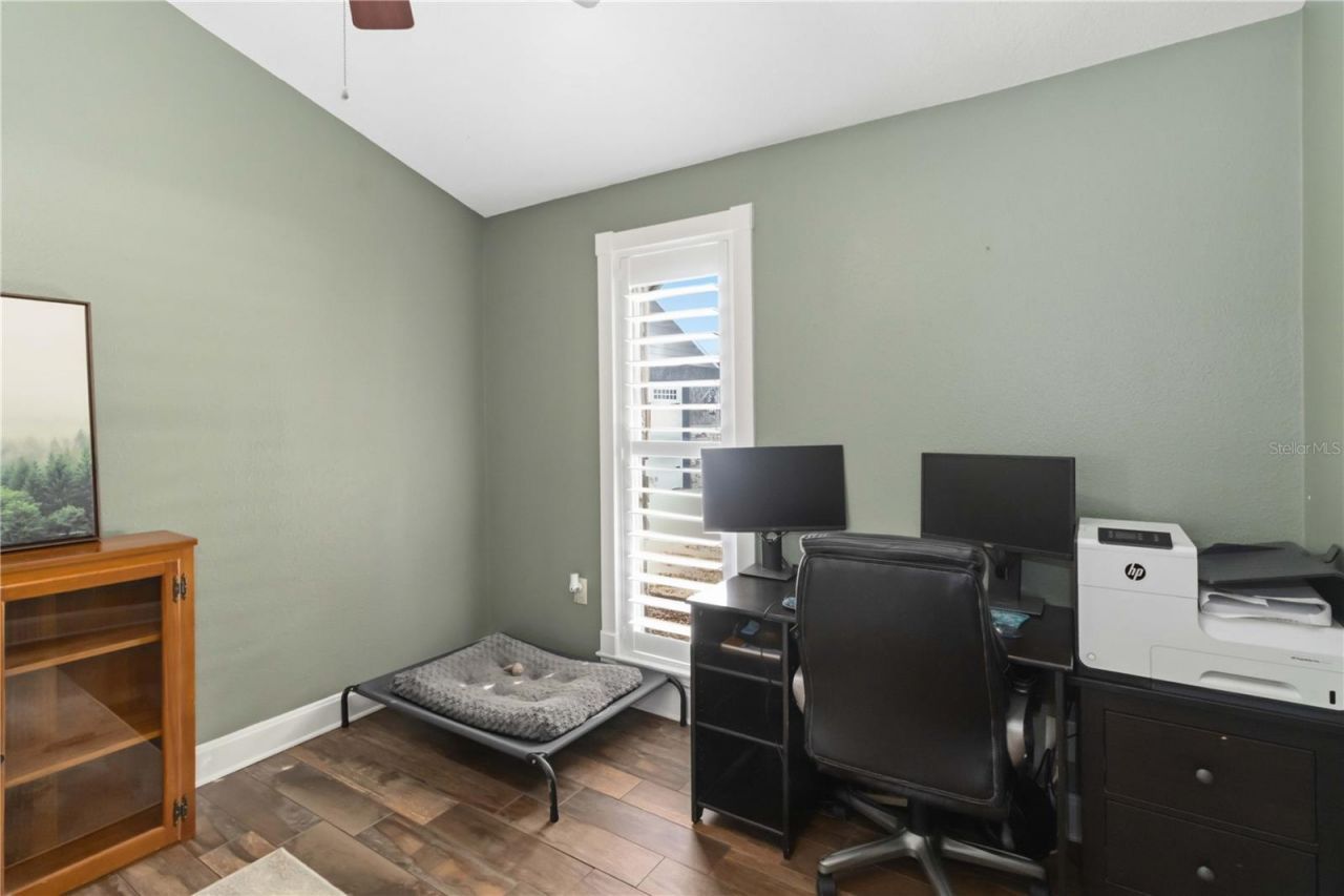 28424 Deedra Drive, Wesley Chapel, FL 33544 Photo