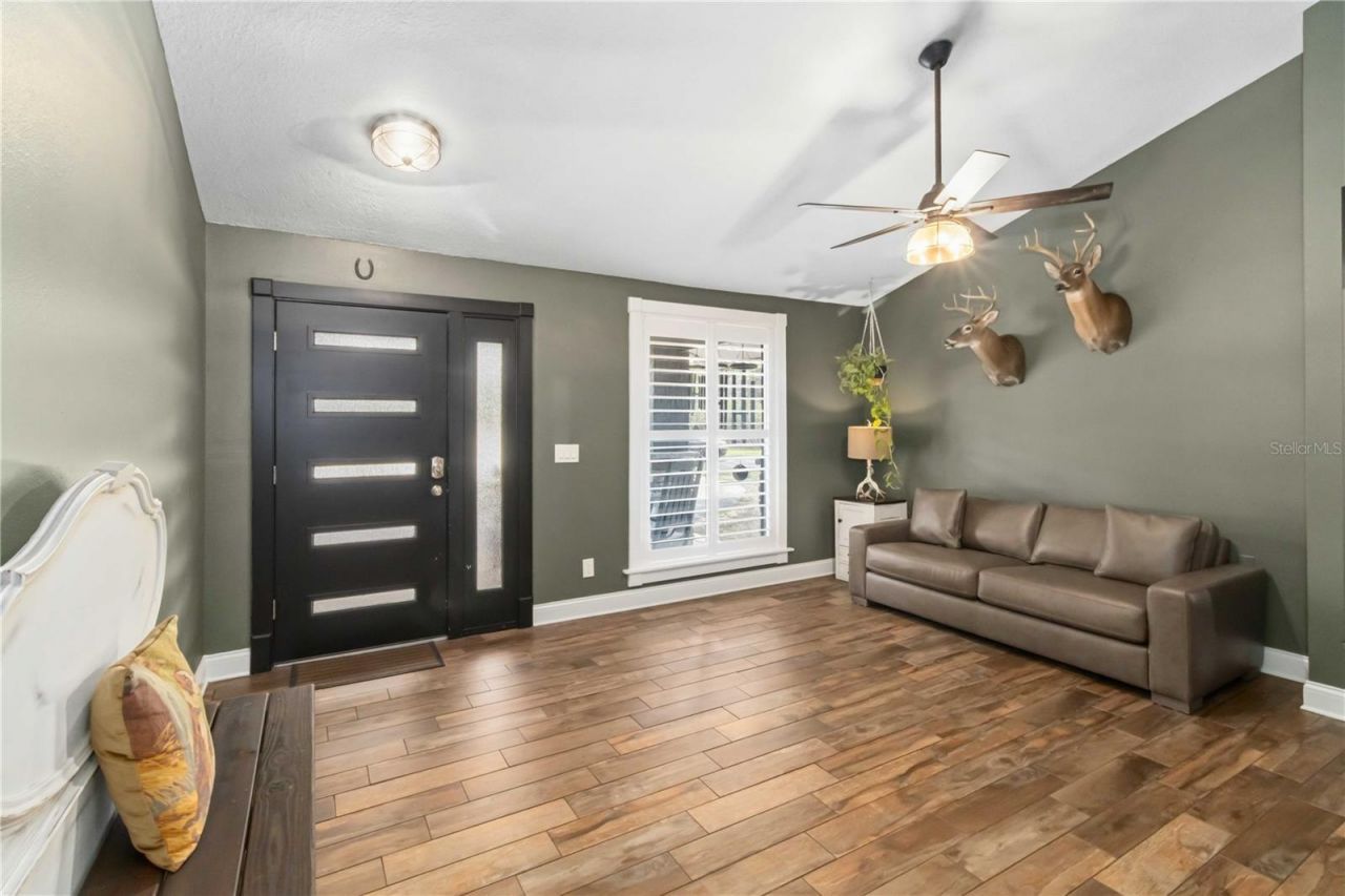 28424 Deedra Drive, Wesley Chapel, FL 33544 Photo