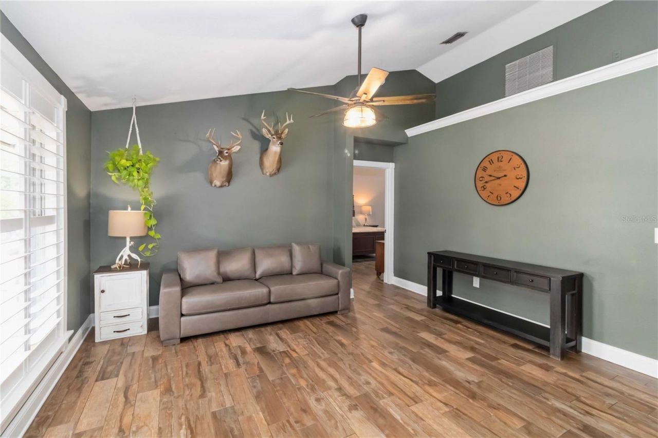 28424 Deedra Drive, Wesley Chapel, FL 33544 Photo