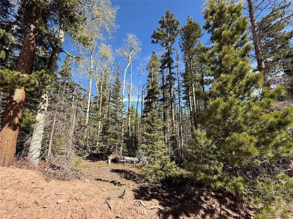 Lot 3408 Drexler Place, Fort Garland, CO 81133