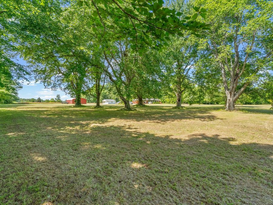 Property Image 67
