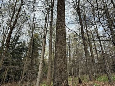 Saunders Gulf Road, West Winfield, NY 13491