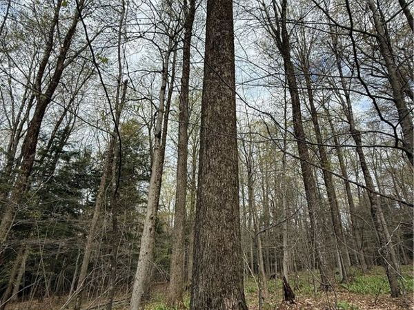 Saunders Gulf Road , West Winfield, NY 13491