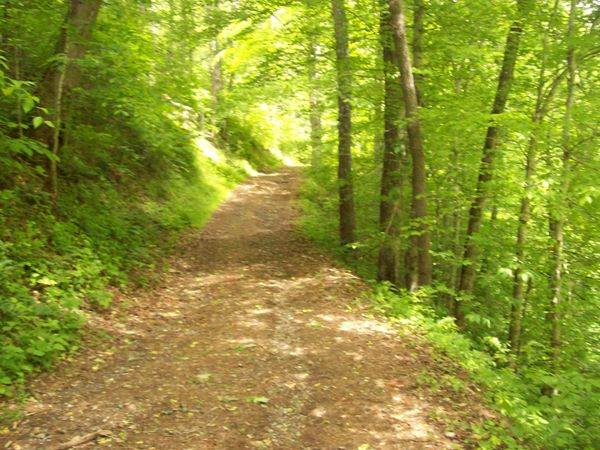 0 Davis Hollow/Dark Hollow Road, Sneedville, TN 37869