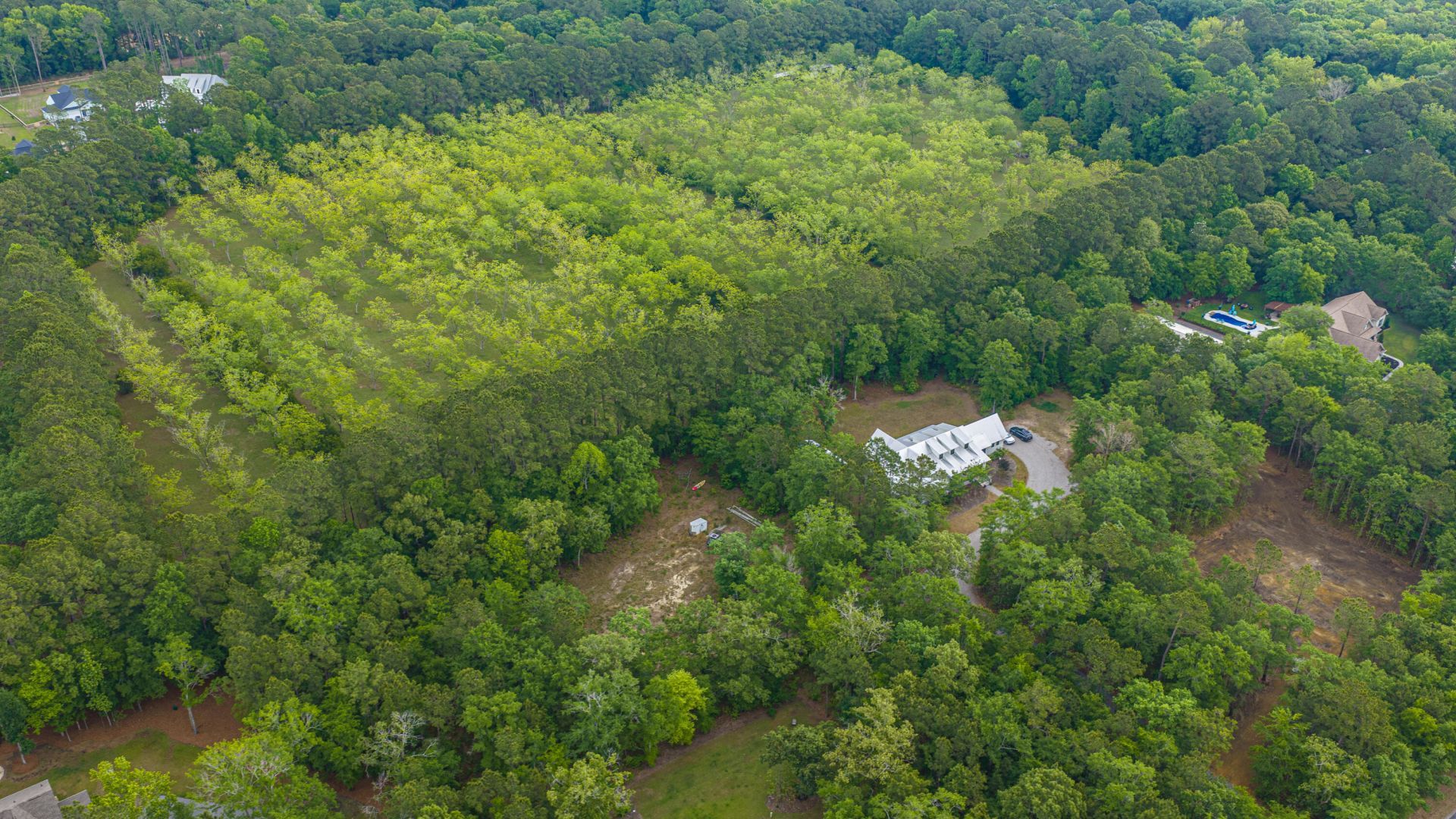 1012 Awendaw Lakes Boulevard Photo 12