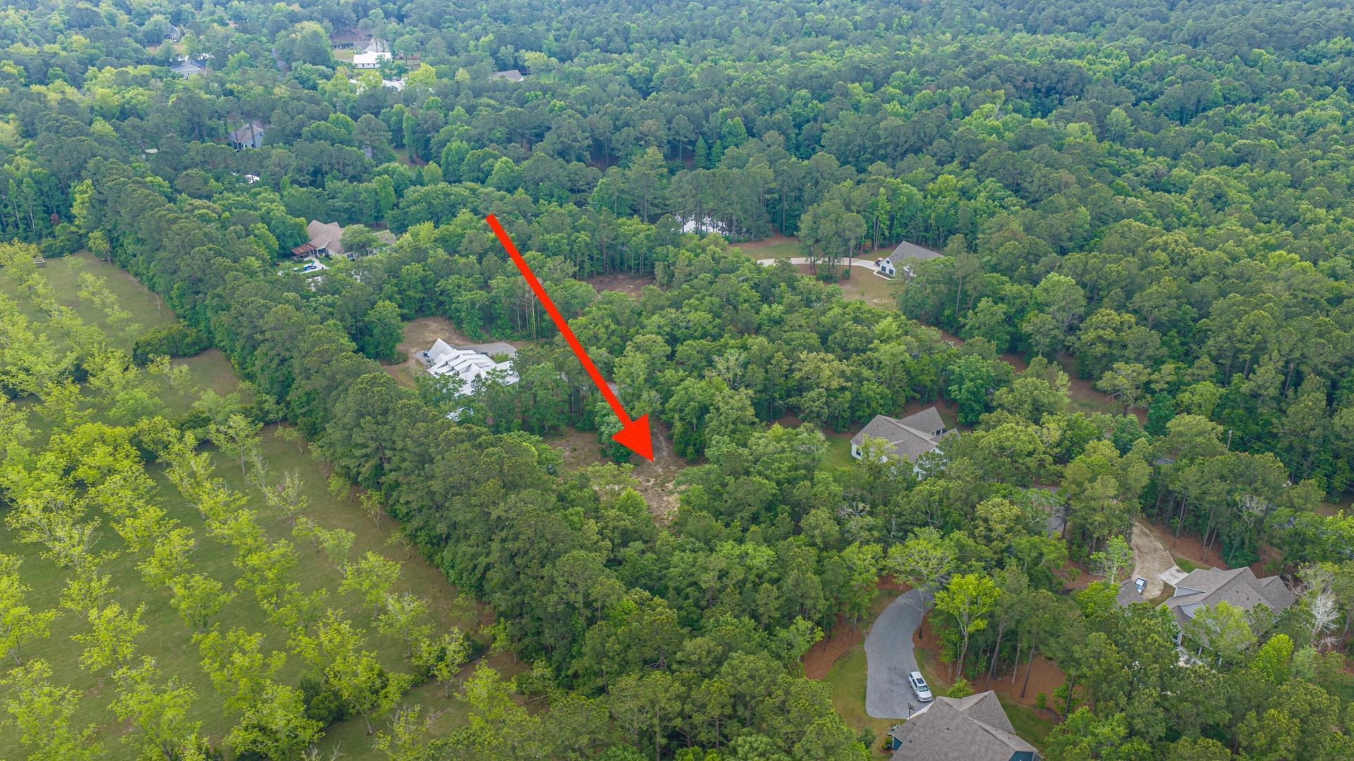 1012 Awendaw Lakes Boulevard Photo 14