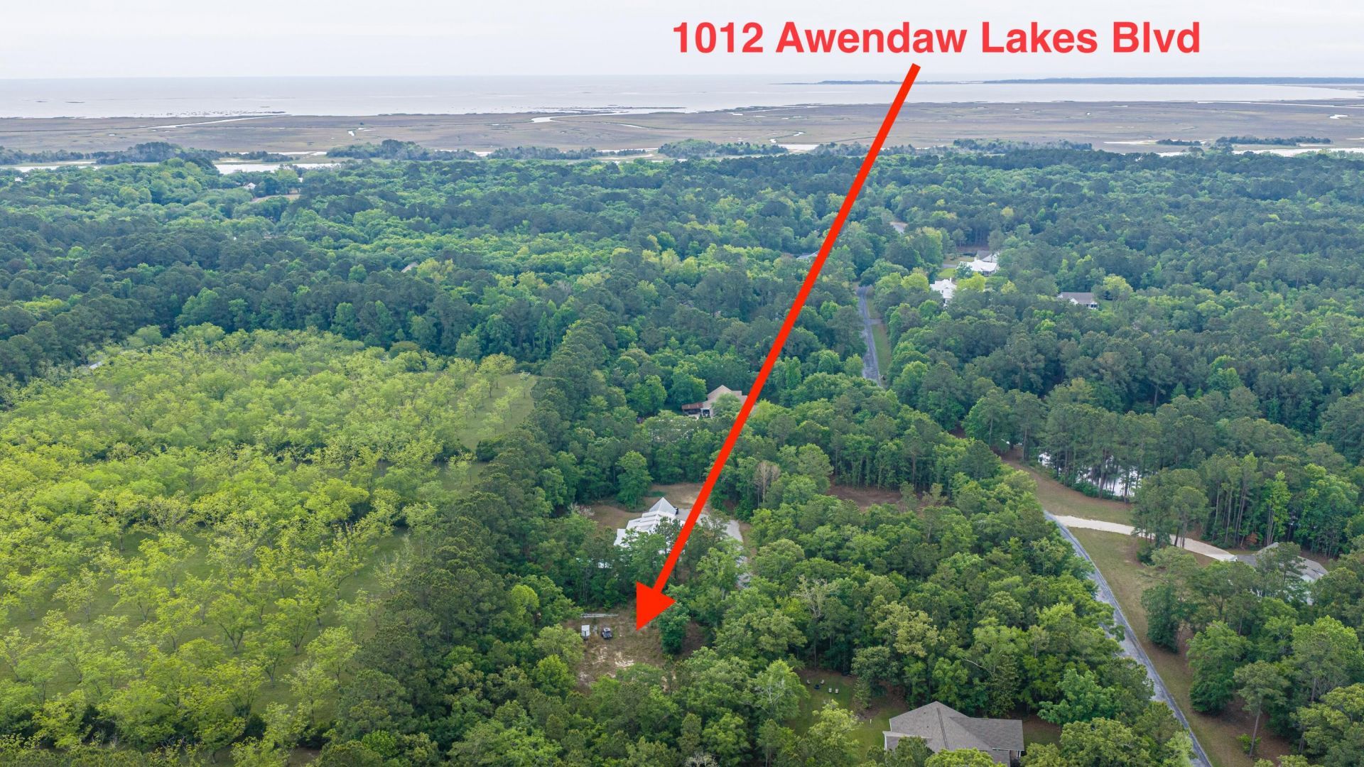 1012 Awendaw Lakes Boulevard Photo 17