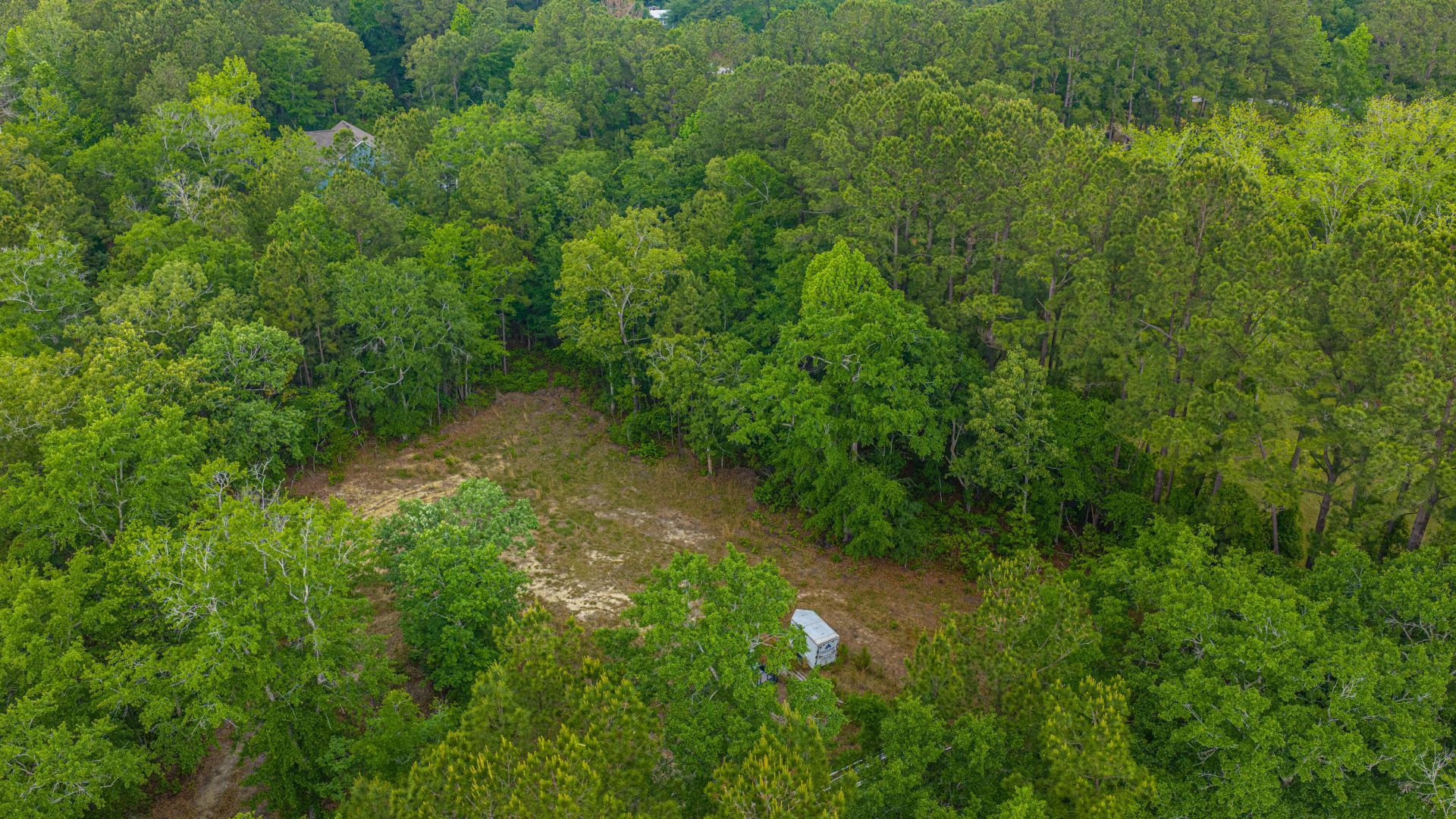 1012 Awendaw Lakes Boulevard Photo 7