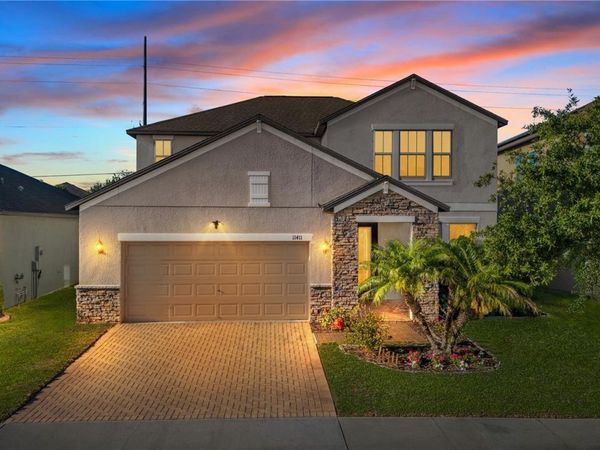 11411 CHILLY WATER COURT, RIVERVIEW, FL 33569