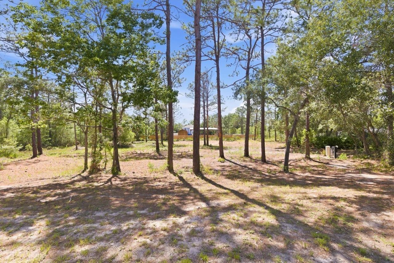 18063 Parrot Road , Weeki Wachee, FL 34614 Photo