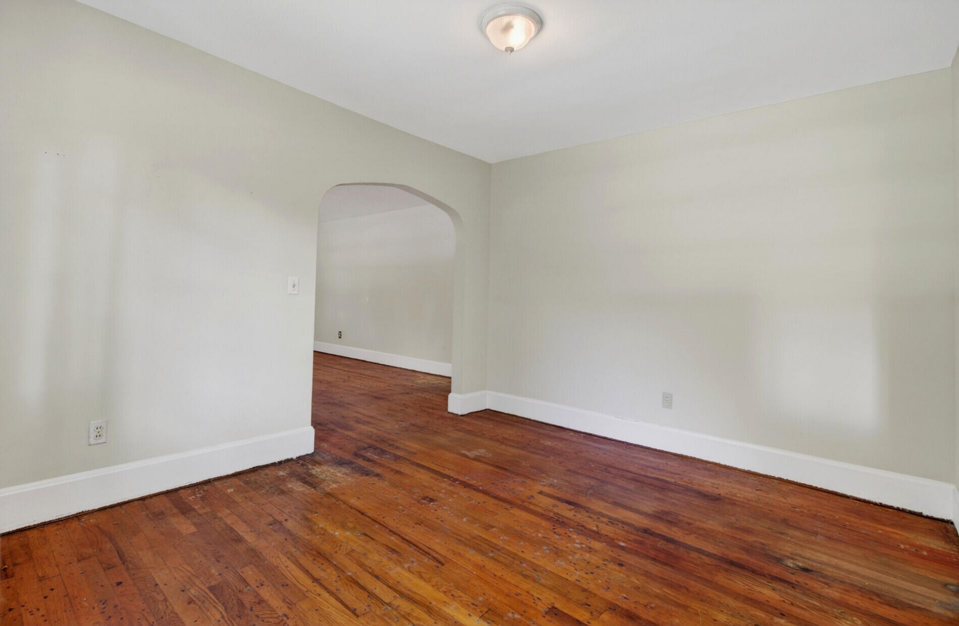 1663 Pinckney Park Drive Photo 12