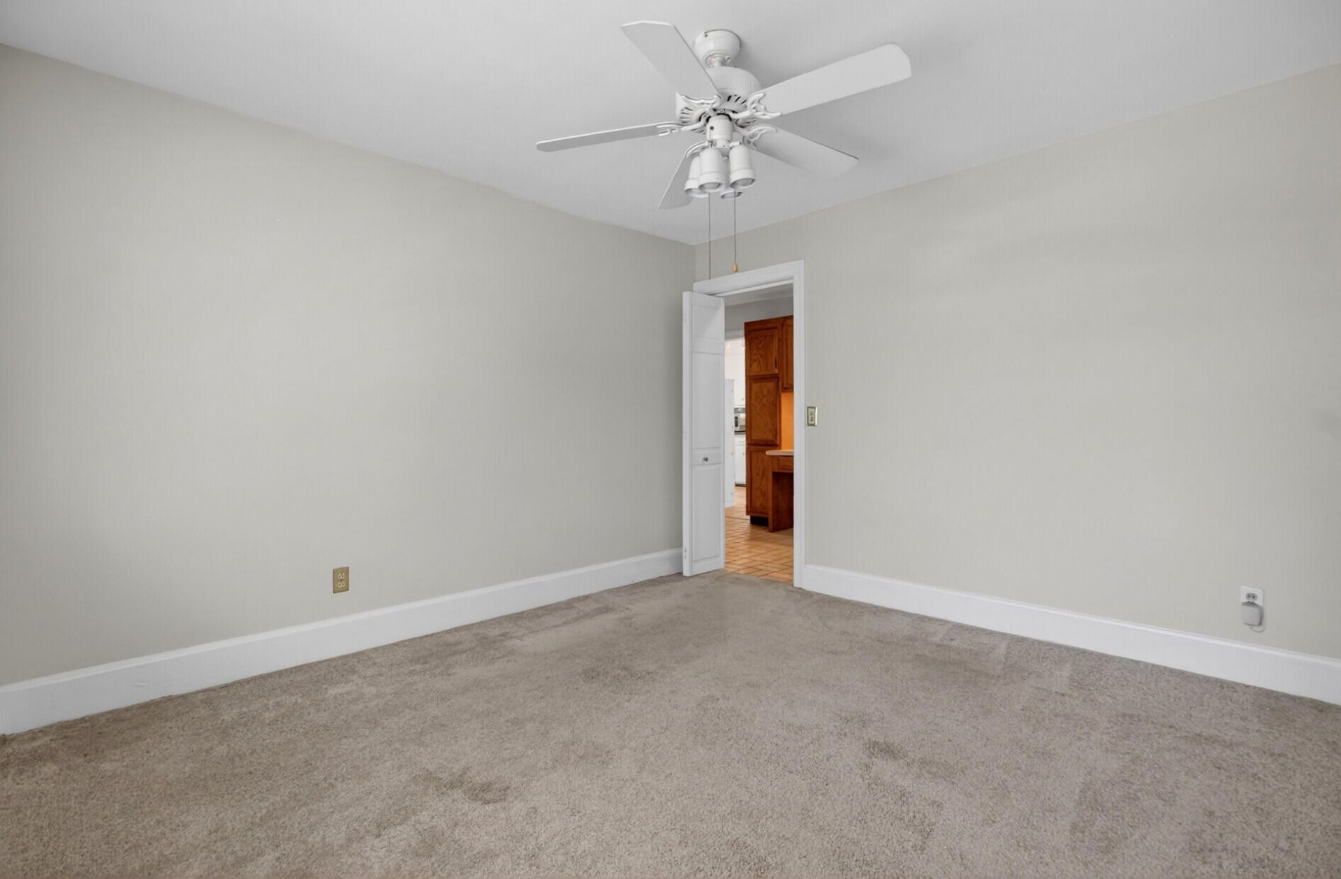 1663 Pinckney Park Drive Photo 27