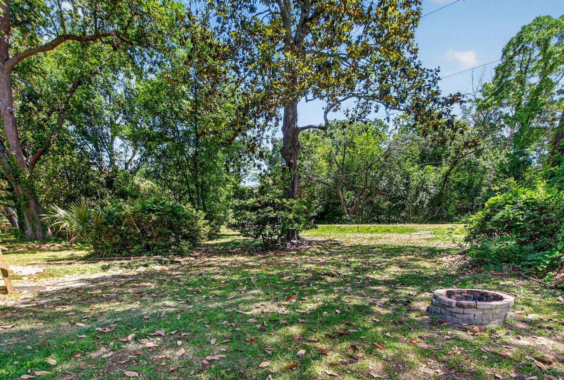 1663 Pinckney Park Drive Photo 39