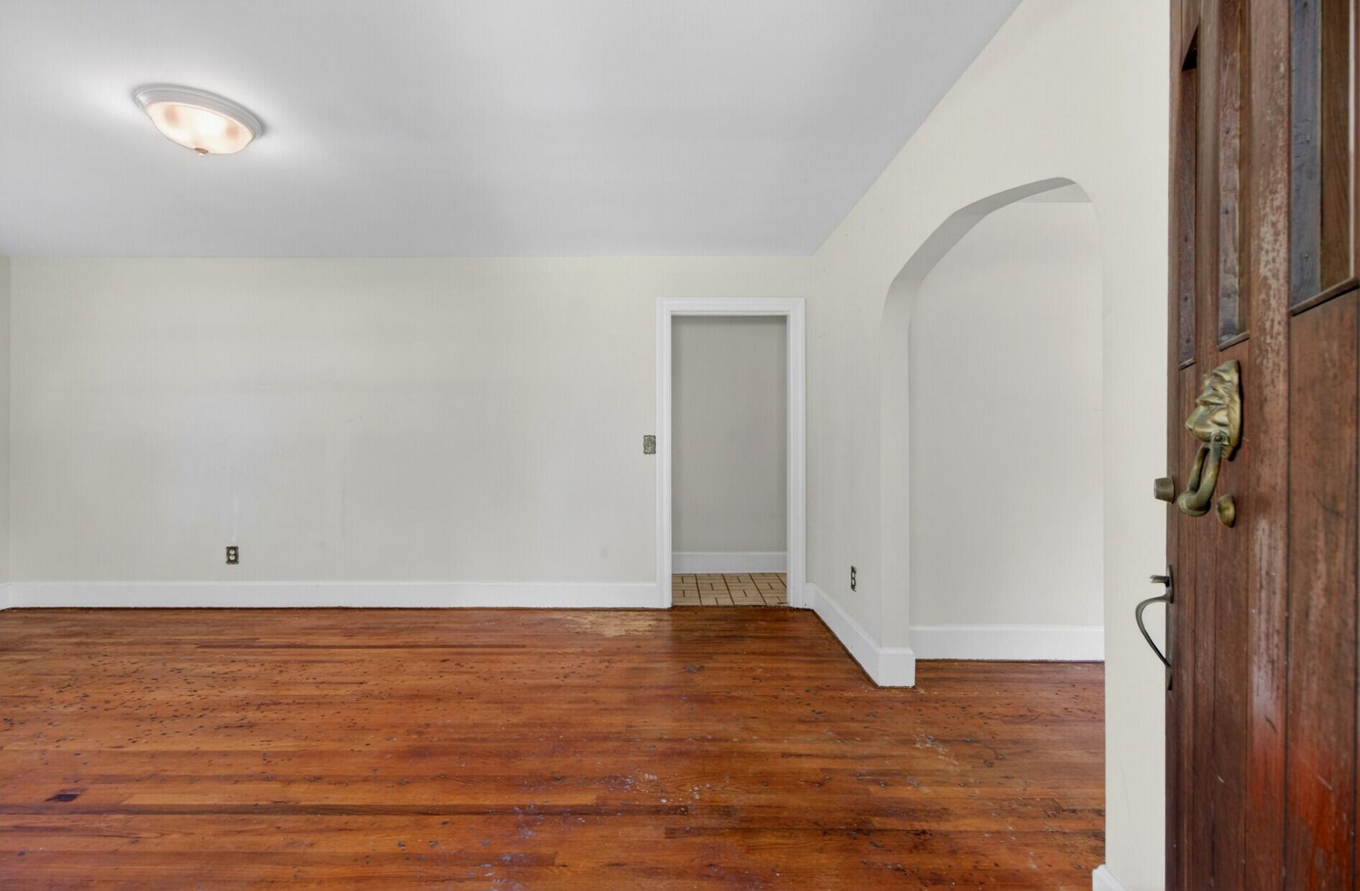 1663 Pinckney Park Drive Photo 7