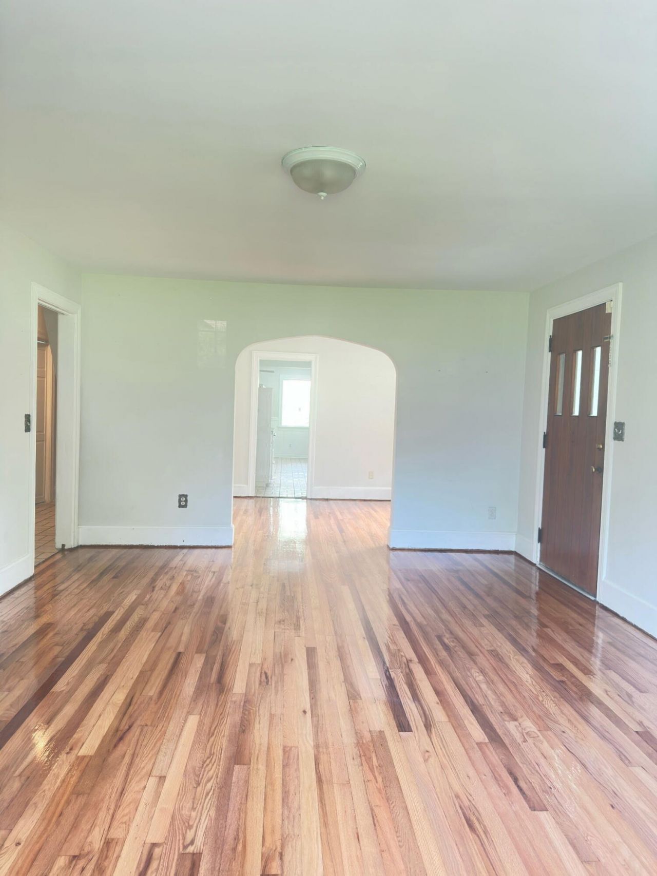 1663 Pinckney Park Drive Photo 7